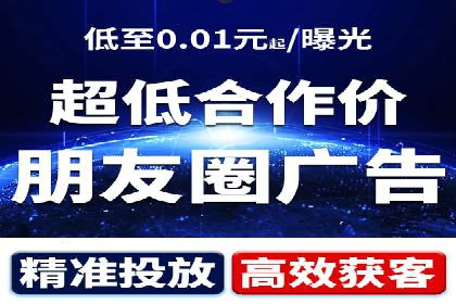 网络推广与竞价优化成功案例